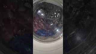 Electrolux EWW 1649  rinse [upl. by Nnoj]