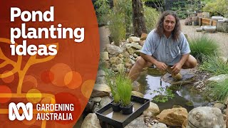 How to add aquatic plants to your pond  Garden Design and Inspiration  Gardening Australia [upl. by Iaverne230]