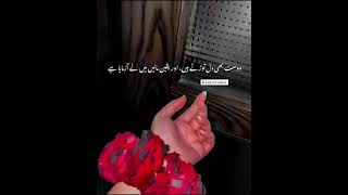 dost bhi dil torty hain 💔 sad urdulines winkcreation brokenheartpoetryinurdu ytshorts [upl. by Lael274]