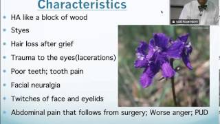 Staphysagria Homeopathic Medicine Tips For Beginners [upl. by Enenstein]