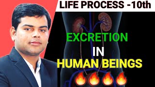 Excretion in Human beings class 10th science 🔥💯🎯✌️ neet science class10th [upl. by Sylera]