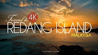 Travel to Redang Island Malaysia in 4K [upl. by Arabela]