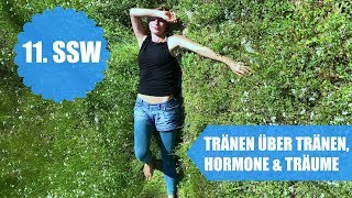 Tränen über Tränen Hormone und Träume  11SSW [upl. by Atoiyanap]