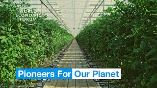 Farmers in the Netherlands are growing more food using less resources  Pioneers for Our Planet [upl. by Ettezus459]