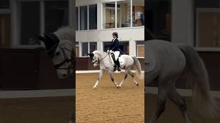 🥈Our first Novice Dressage test [upl. by Ferris]