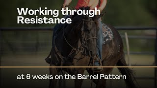 Finding Resistance on One Side at 6 weeks on the Barrel Pattern barrelracer barrelracing horses [upl. by Neve428]