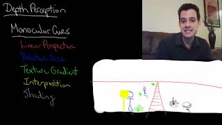 Depth Perception Intro Psych Tutorial 57 [upl. by Onahpets]