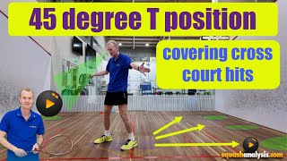 Skills for squash  45 deg stance covering cross courts [upl. by Rafaelof975]