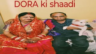 Aaj mene karwai DORA ki shaadi😂 Rajkumari family vlog vlog dailyvlog vlogger shaadi [upl. by Crespo]