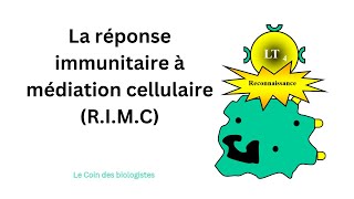 La réponse immunitaire à médiation cellulaire RIMC [upl. by Ajna520]