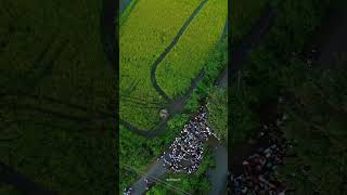 Gauri Ganpati Visarjan ratnagiri ganpatibappa [upl. by Oemac]