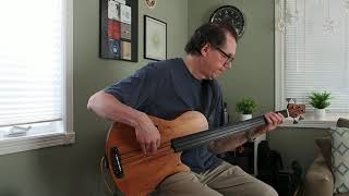 Bass Improvisation 5  Rob Allen Deep 4 fretless bass solo [upl. by Philippa374]