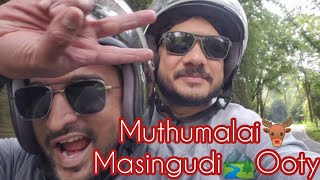 GudallurMuthumalaiMasinagudiOoty Bike trip [upl. by Stinky993]