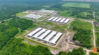 Inside SMCs mega poultry farm in Hagonoy Davao del Sur [upl. by Tobey564]