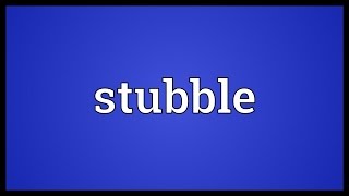 Stubble Meaning [upl. by Naic]