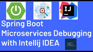 Spring Boot Microservices Debugging with Intellij IDEA  How to run microservices in Intellij [upl. by Naitsirt]