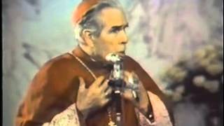 Wasting Your Life  Venerable Fulton Sheen [upl. by Selby151]