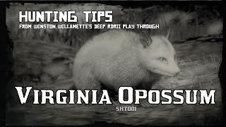 Virginia Opossum  Hunting Tips RDRII [upl. by Rabiah452]