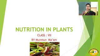 NUTRITION IN PLANTS PART 2CLASS 7 NCERT  CBSE [upl. by Ribaj343]