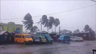 Madagascar Cyclone AVA [upl. by Jaylene706]