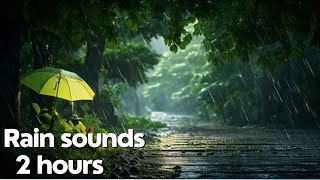 The sound of rain in the forest 2 hours meditation 528hz4 sleepmusic sleepsounds [upl. by Anaerda350]