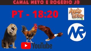 RESULTADO AO VIVO ROGERIO E NETO JB  PTN  11112024 [upl. by Teteak]