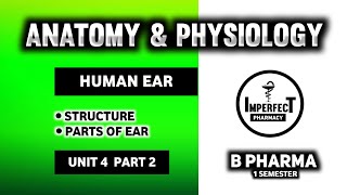 Structure And Function Of Ear  Parts Of Ear  Ear  Human Anatomy And Physiology  B Pharma [upl. by Cthrine]