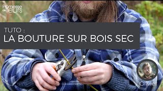 Tuto  la bouture sur bois sec [upl. by Edahs]