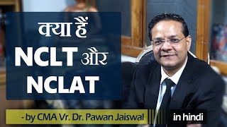 What are NCLT and NCLAT [upl. by Nyladnek]