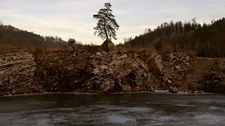 Chudobínská borovice  Vírská přehrada [upl. by Loveridge]