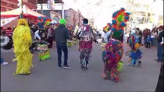 Danza Chichimeca Santa Maria De Guadalupe 🇲🇽🎻🎹 [upl. by Euqinomod]