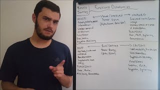 Functional Dichotomies in Socionics Part 1 [upl. by Sabas]