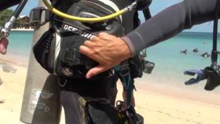 Buddy  Predive Safety Check Skill 2 [upl. by Akinorev]