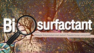 Rhamnolipid Biosurfactant dari Bakteri Pseudomonas Aeruginosa [upl. by Ahsatak]