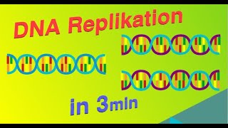 DNA Replikation  Erklärvideo [upl. by Georgie]