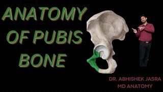 ANATOMY OF PUBIS BONE easy to remember [upl. by Lenox964]