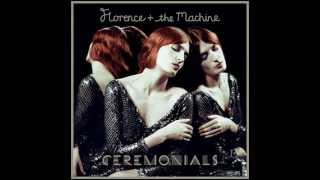 Florence  The Machine  Never Let Me Go [upl. by Avika]