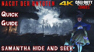 NACHT DER UNTOTEN REMASTERED Easter Eggs Samanthas Hide and Seek Guide 4K [upl. by Arymahs]