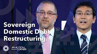 Issues in Sovereign Domestic Debt Restructuring  Analytical Corner Spring Meetings 2022 [upl. by Boatwright]