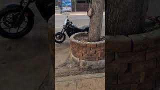 i found a Honda Rebel 1100 DCT hondarebel1100 honda [upl. by Yenhoj598]