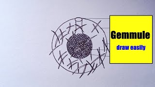 how to draw Gemmule Diagram easily  Gemmule Diagram  how to draw Gemmule Diagram step by step [upl. by Charla]