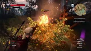 HOW DOES THE MAXIMUM POWER LOOK YRDEN QUEN IGNI AKSJI AARD IN WITCHER 3 [upl. by Longwood]