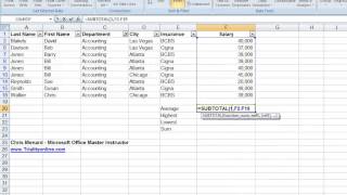 Using Excels Subtotal Function with Filters in Excel [upl. by Nreval525]