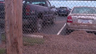 Mayfly invasion in Northeast Ohio [upl. by Aindrea437]