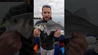 Ultimate bass fishing with a soft plastic lure from HTO bassfishing [upl. by Aztin551]