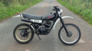 1982 Yamaha XT250 Walkaround [upl. by Tongue331]