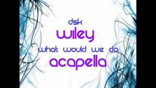 Wiley wearin my rolex  DSK what would we do ACAPELLA [upl. by Nivej546]