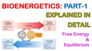 Chapter 13 Bioenergetics part 1 [upl. by Stricklan]