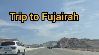 Driving Tour to Fujairah from Dubai Mountains in UAE Cold weather in UAE Cool Dubai Must Visit [upl. by Witt]