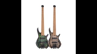 cort space 5 bass guitar [upl. by Kassi690]